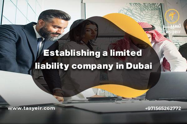 Establishing a limited liability company in Dubai