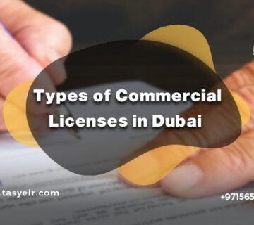 Types of Commercial Licenses in Dubai