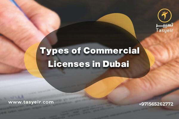Types of Commercial Licenses in Dubai